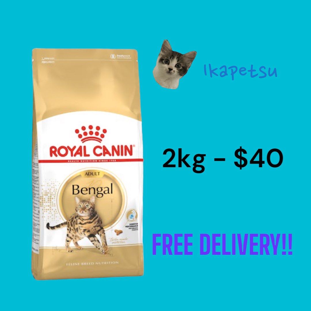 Royal canin 2025 kitten bengal