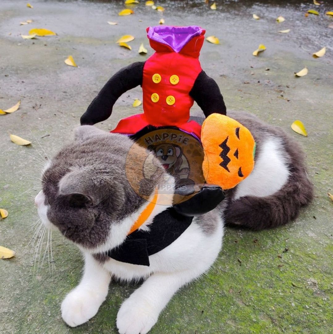 Halloween Headless Jack-o-Lantern 3D Pet Costume (Category: Homes & Other Pet Accessories) located in Manila. Submitted by queeniejoy88734 (Listing ID 1260657997, Image 1). Description: Halloween Headless Jack-o-Lantern 3D Pet Costume Size Chart: (Chest, Neck, Length) S - 38 to 43 cm, 22 to 30 cm, 18 cm M - 44 to 47 cm, 30 to 34 cm, 21 cm L - 48 to 56 cm, 36 to 40 cm, 23 cm XL - 54 to 64 cm, 38 to 46 cm, 28 cm Price: Php 380 . 📝Note: Please allo
