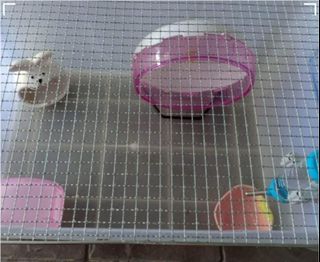 (Category: ) located in . Submitted by Wendy (Listing ID 1206140471, Image 1). Description: .