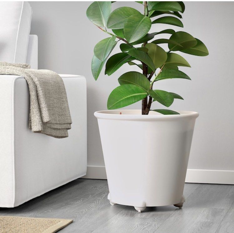 IKEA Fejo movable plant pot, flower pot with wheels, Furniture & Home