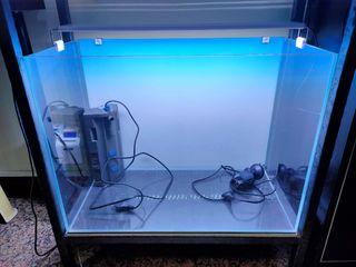(Category: ) located in . Submitted by jastan65 (Listing ID 1260701088, Image 1). Description: .