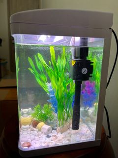 (Category: ) located in . Submitted by luweilarry (Listing ID 1260702575, Image 1). Description: .