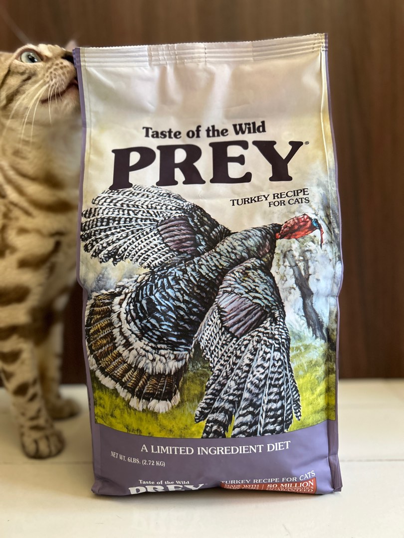 Taste of the Wild turkey cat kitten kibble dry food Pet Supplies
