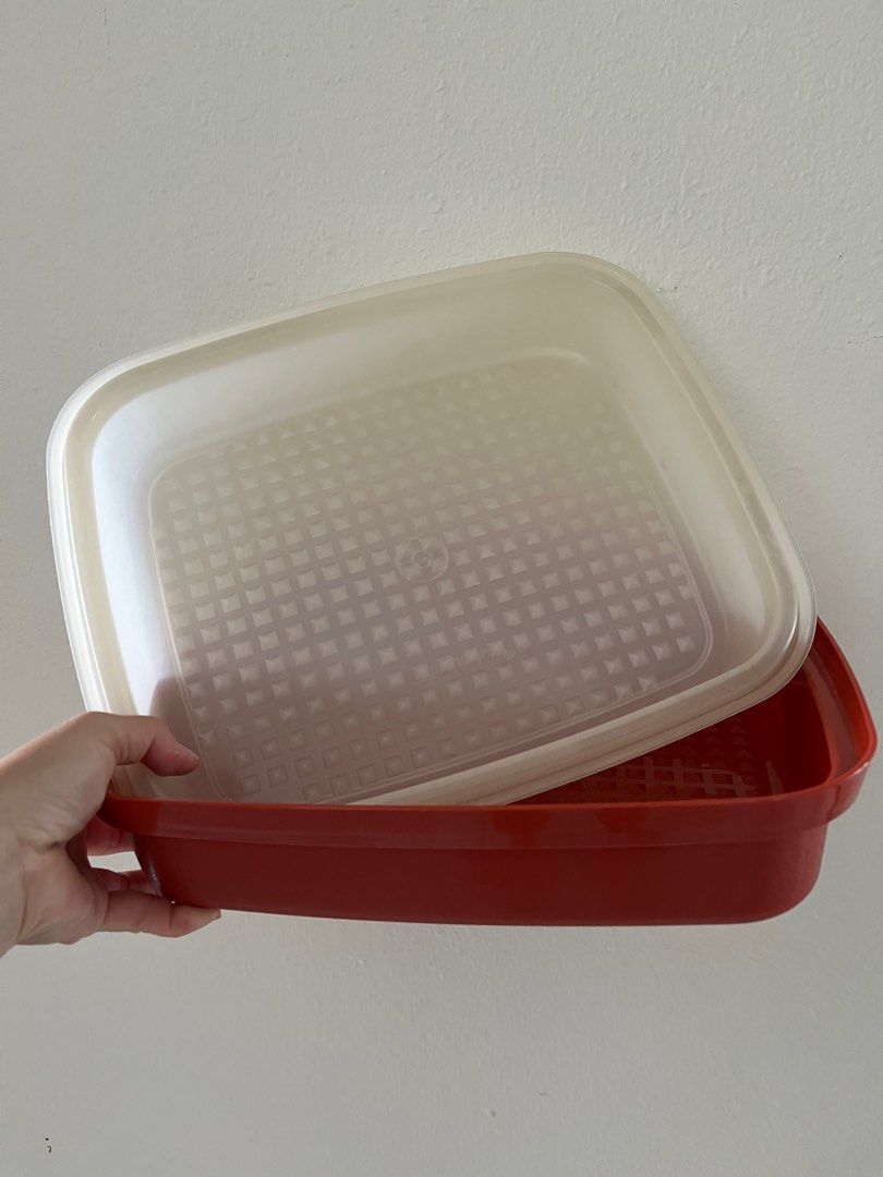 Tupperware Season Serve Meat Marinating Container -  in 2023