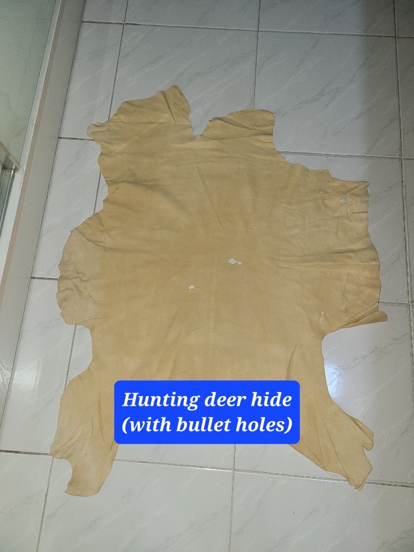 Window Leather (100 Deer Skin), Furniture & Home Living, Cleaning