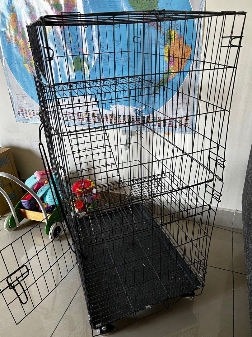 Arnab rabbit hamster kitten cat cage