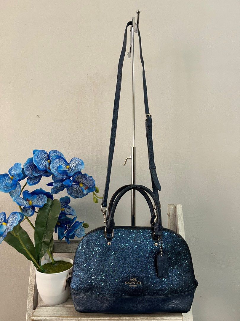 Coach glitter handbag top