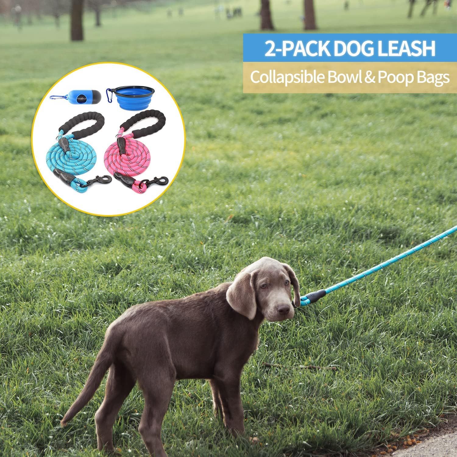2 ft dog leash store