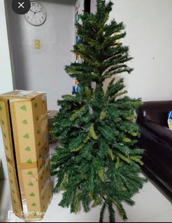 (Category: ) located in . Submitted by komaricris (Listing ID 1260921869, Image 1). Description: .