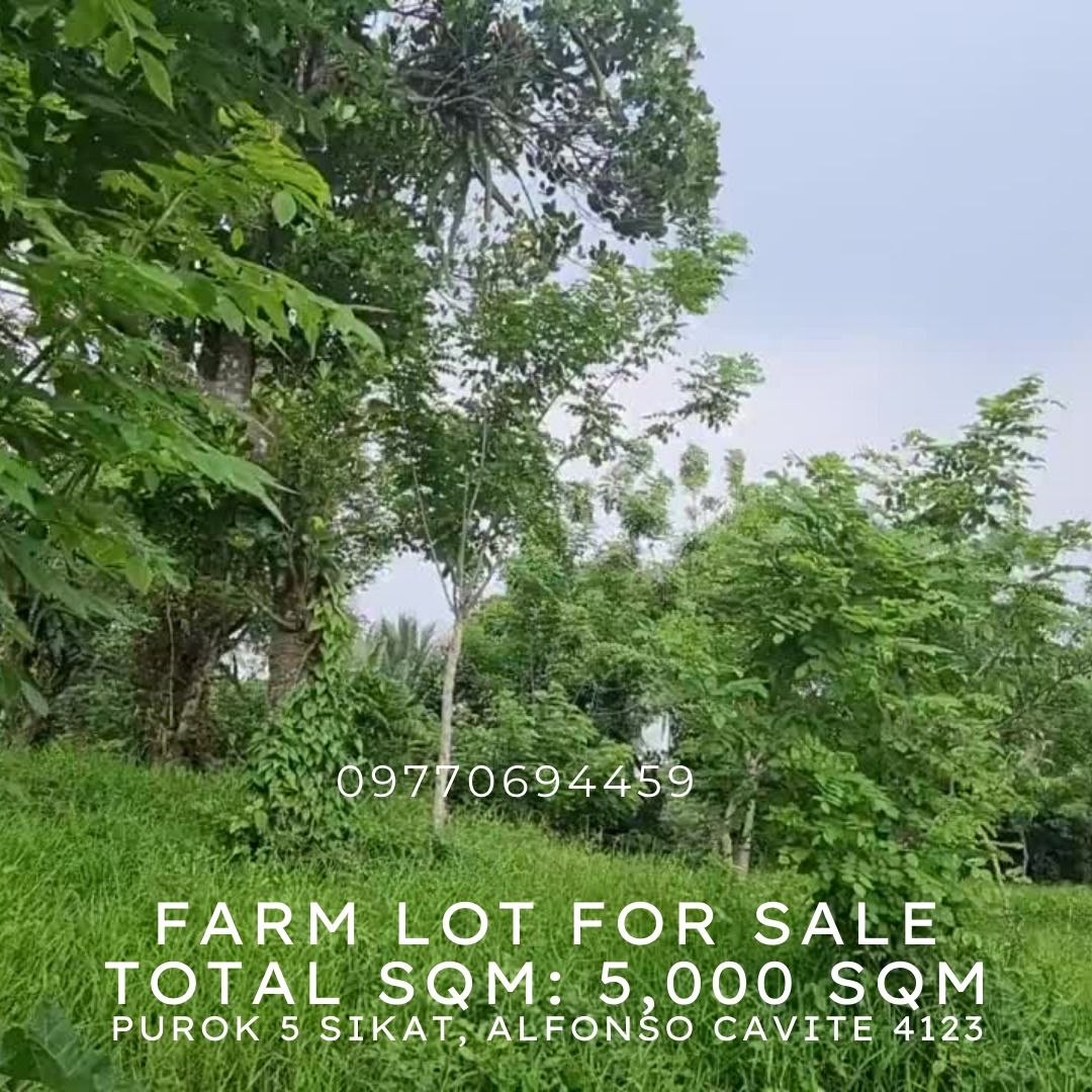 FARM LOT for Sale Alfonso Cavite (great place for events venue
