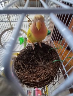 (Category: ) located in . Submitted by 7lots (Listing ID 1260907647, Image 1). Description: .