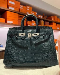 Hermès Birkin 25 Ombre Lizard Bag PHW