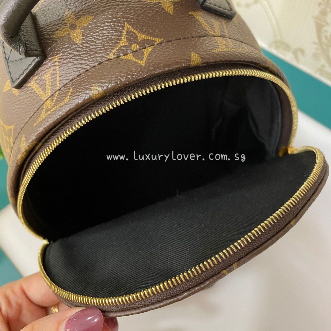 LNIB LV Mini Palm Spring Backpack Monogram Canvas GHW, Luxury, Bags &  Wallets on Carousell