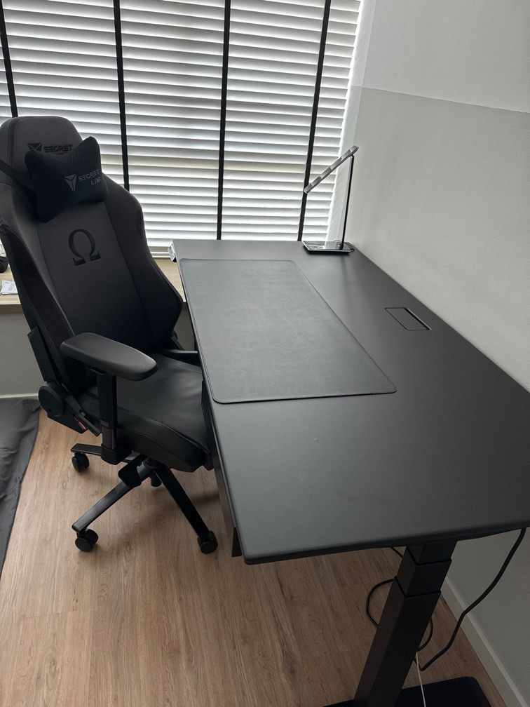 Omnidesk and Secretlab chair, Furniture & Home Living, Furniture
