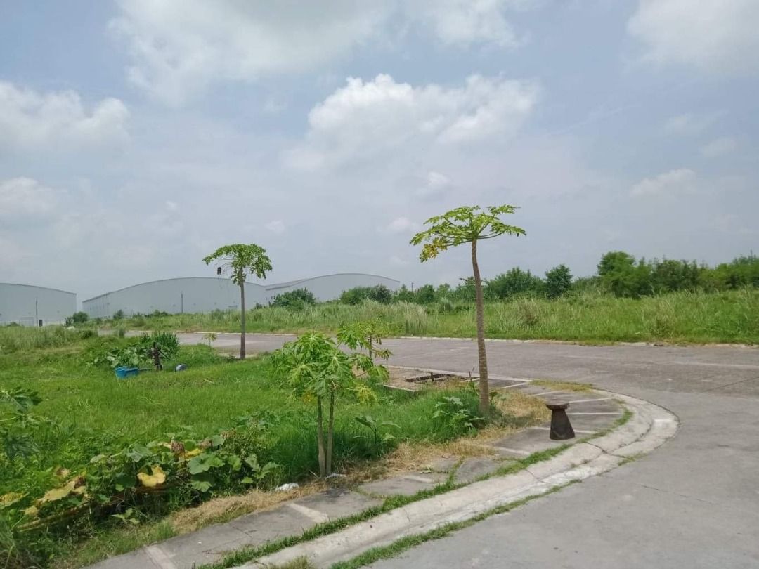 PRIME PROPERTY FOR SALE Lubao, Pampanga (Beside Pradera, 5Has