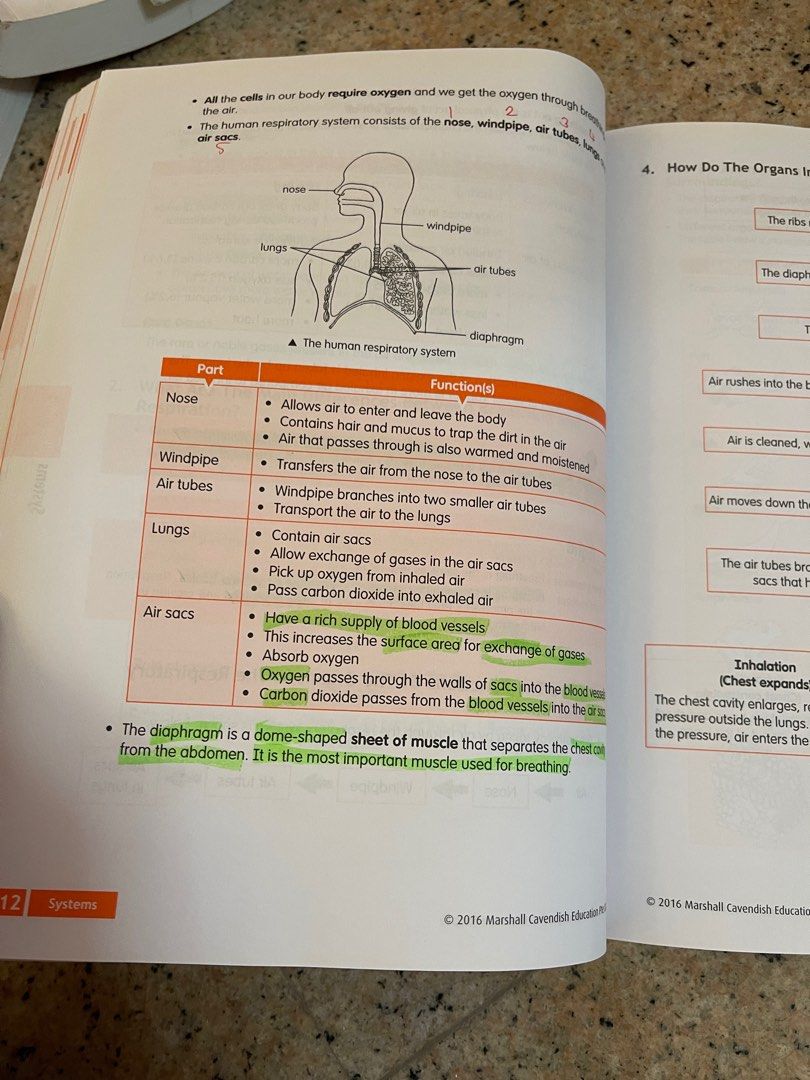 Science Psle revision guide p6, Hobbies & Toys, Books & Magazines ...