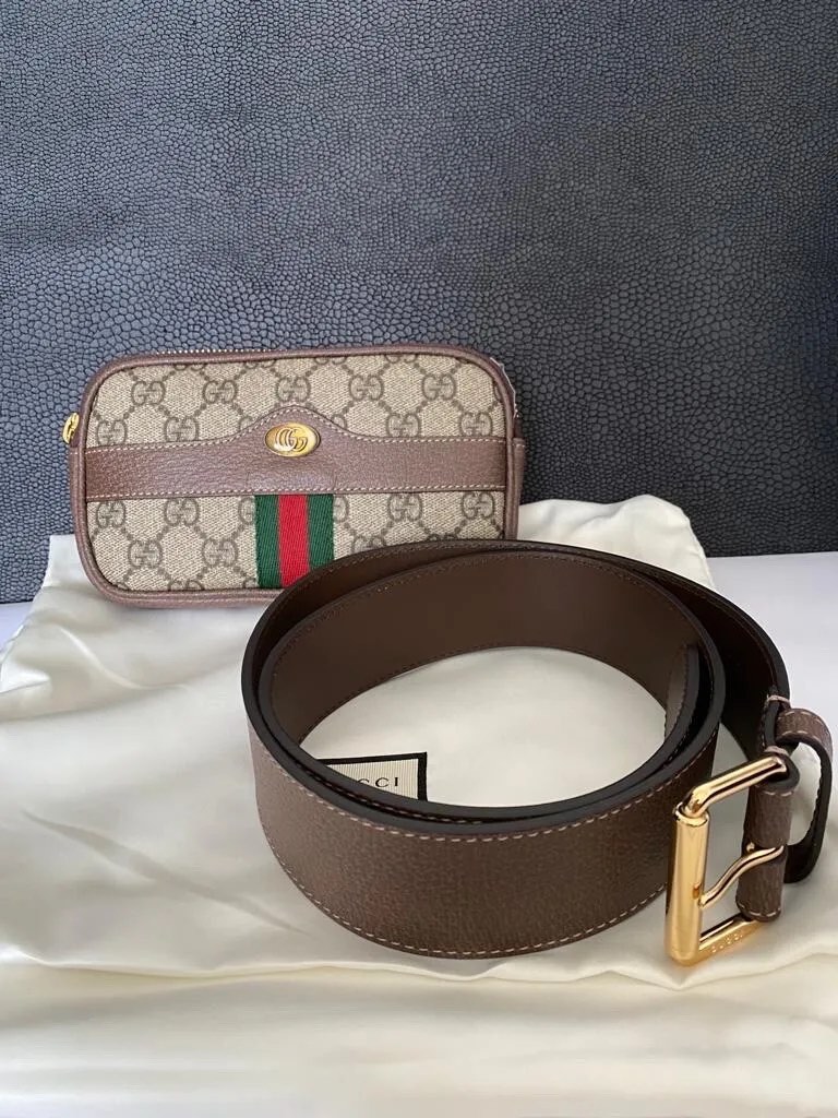 Gucci ophidia discount iphone belt bag
