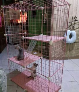 (Category: ) located in . Submitted by paimon12 (Listing ID 1258016785, Image 1). Description: .