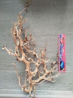 Aquarium Driftwood Bonsai