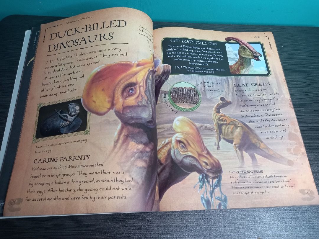 Bone Collection Dinosaurs And Other Prehistoric Animals Book, Hobbies ...