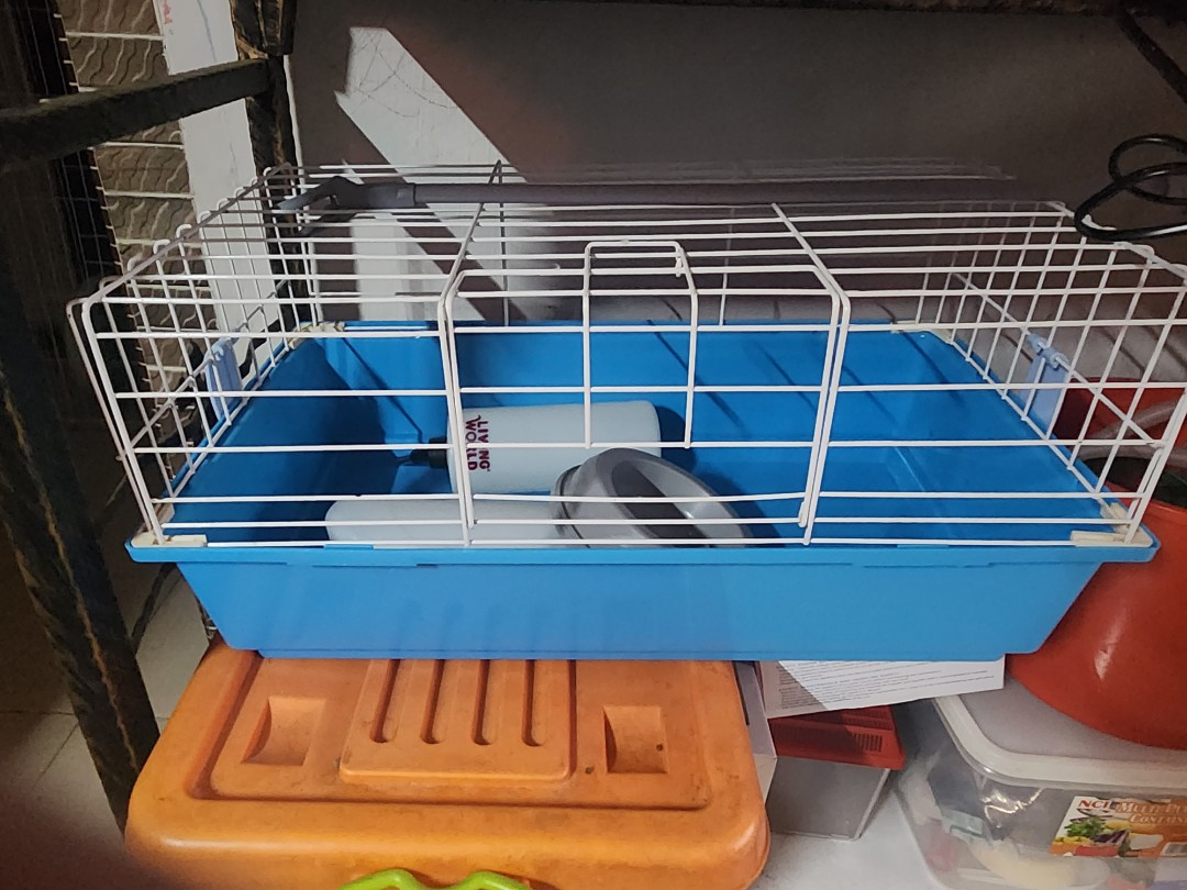 Guinea pig starter top kit kmart