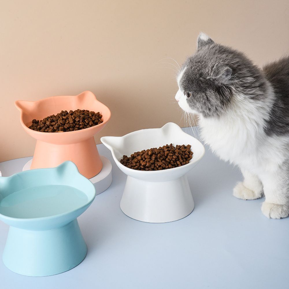 Elevated cat online bowls australia
