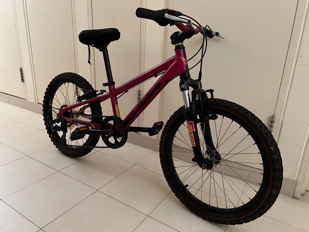 FELT Q20 S Kids Bicycle
