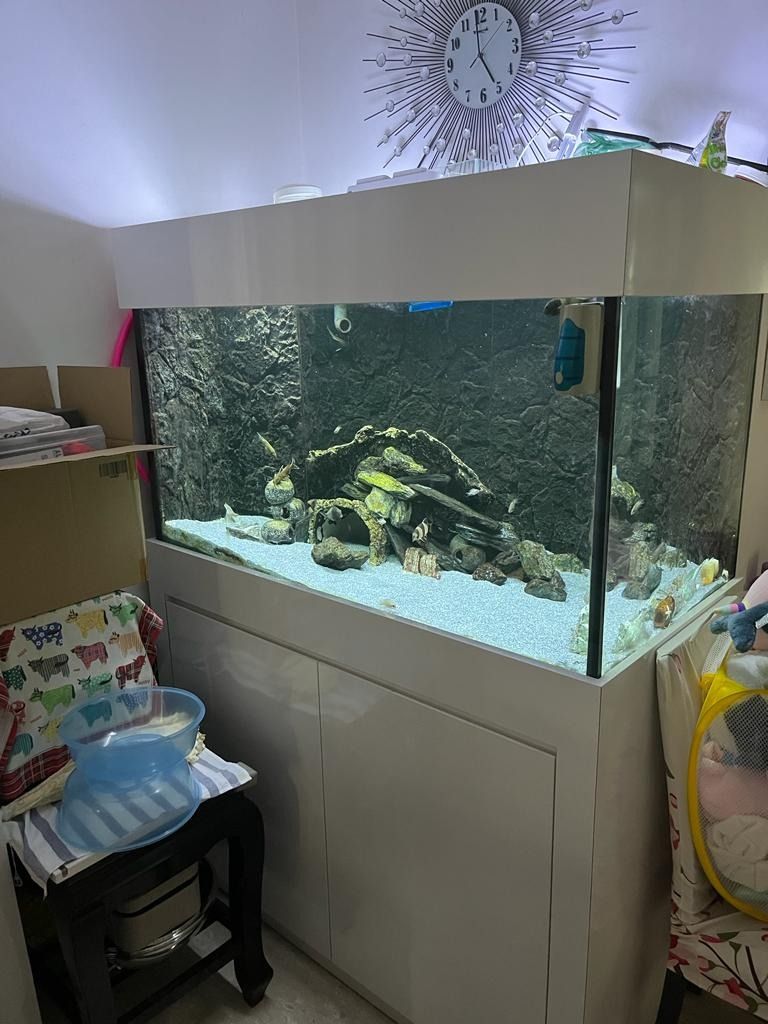 Second hand marine deals fish tanks for sale