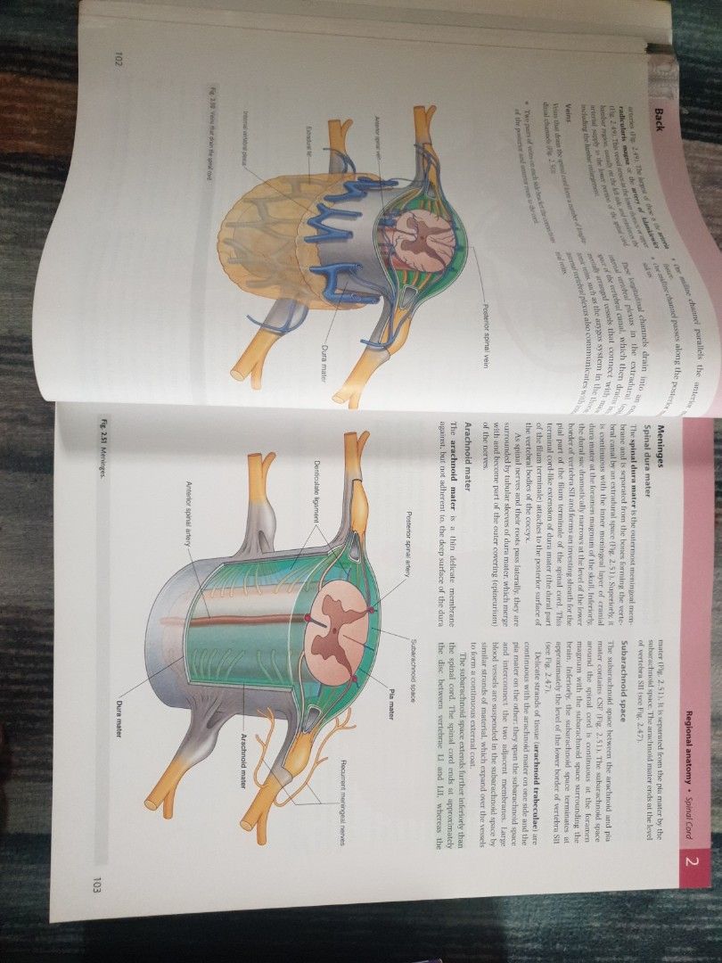 First Year Anatomy Medical Book for sale (Gray's Anatomy), Hobbies & Toys, Books & Magazines
