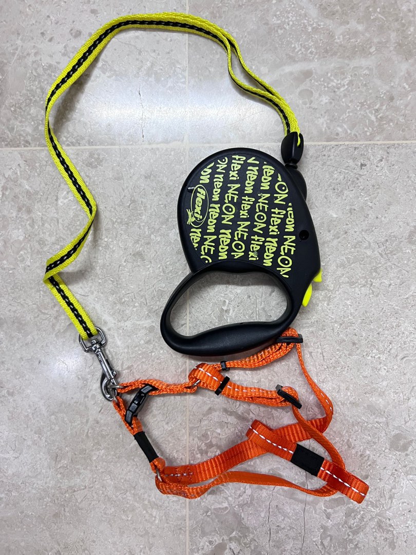 Flexi neon retractable dog leash online