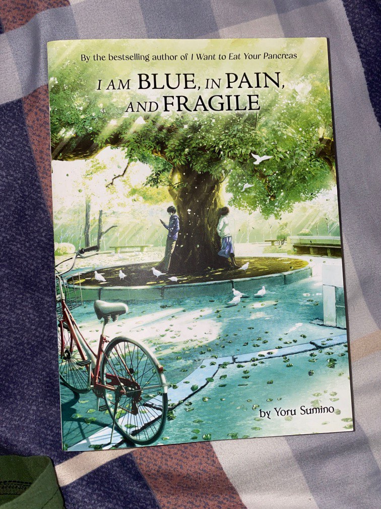 I am Blue, in Pain, and Fragile by Yoru Sumino, 興趣及遊戲, 書本 & 文具, 小說 - I Am Blue In Pain And Fragile