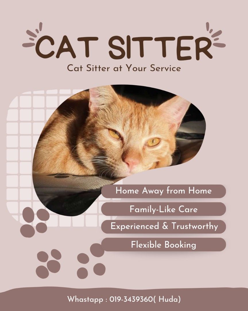 Cat sitter deals