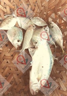 (Category: ) located in . Submitted by seberang.sg (Listing ID 1257913177, Image 1). Description: .