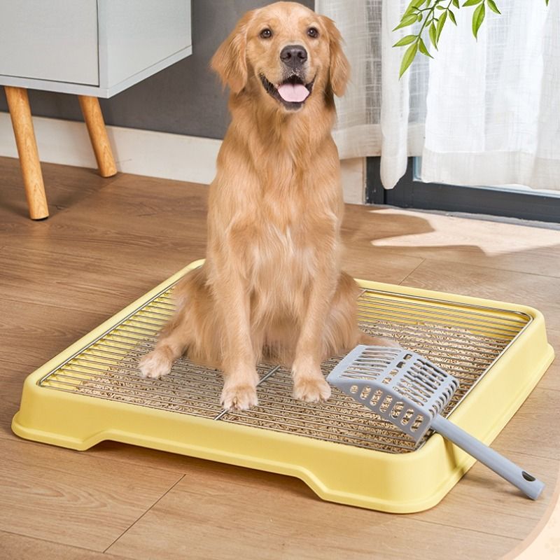 Large dog toilet tray deals