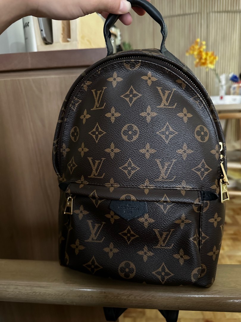 Poshmark Louis Vuitton Backpacking