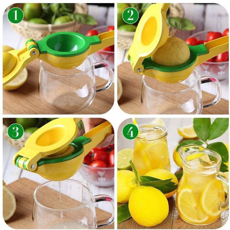 Berry juicer outlet