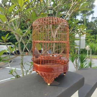 Mata puteh top cage accessories