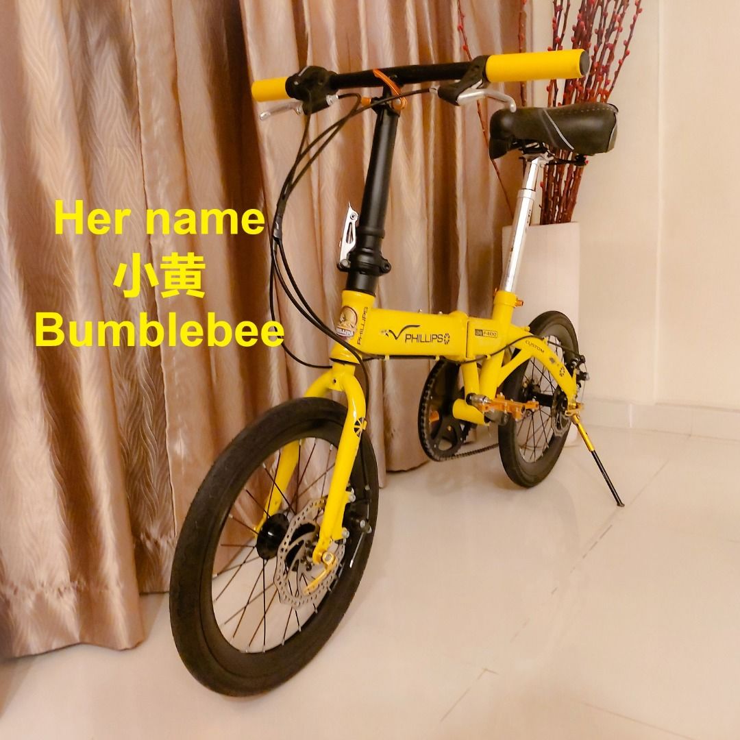 Raleigh Phillips CoBrand with Dahon 16 inch 349 6speed Shimano Grip