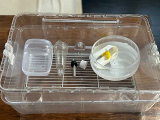 （分類：）位於 。 由 eugenea_w 提交（商品編號 1257959256，圖片 1）。簡介： 。