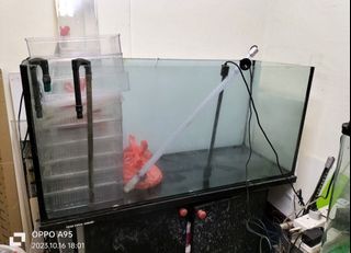 4ft fish tank