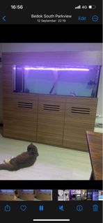 (Category: ) located in . Submitted by famyghaz77 (Listing ID 1261000472, Image 1). Description: .