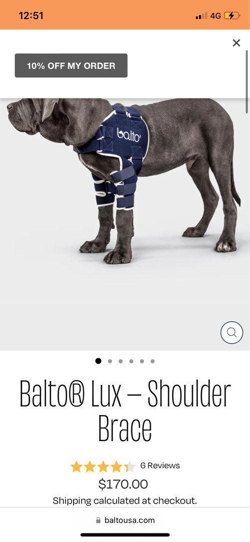 Balto dog shoulder brace clearance
