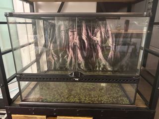 （分類：）位於 。 由 siulinto 提交（商品編號 1261030572，圖片 1）。簡介： 。