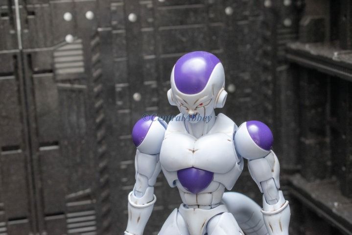 Figure rise standard frieza top