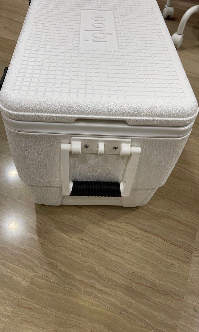 Igloo Marine Ultra 36 QT cooler box, Furniture & Home Living, Home