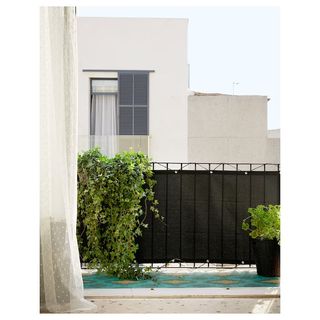 (Category: ) located in . Submitted by jsumma (Listing ID 1261024116, Image 1). Description: .