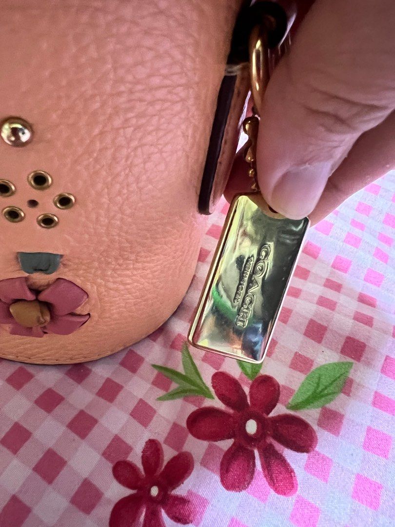 Coach camera sales bag dark blush