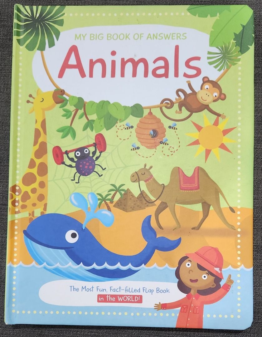 My Big Book of Answers - Animals, and the World Flap Board Books Set ...