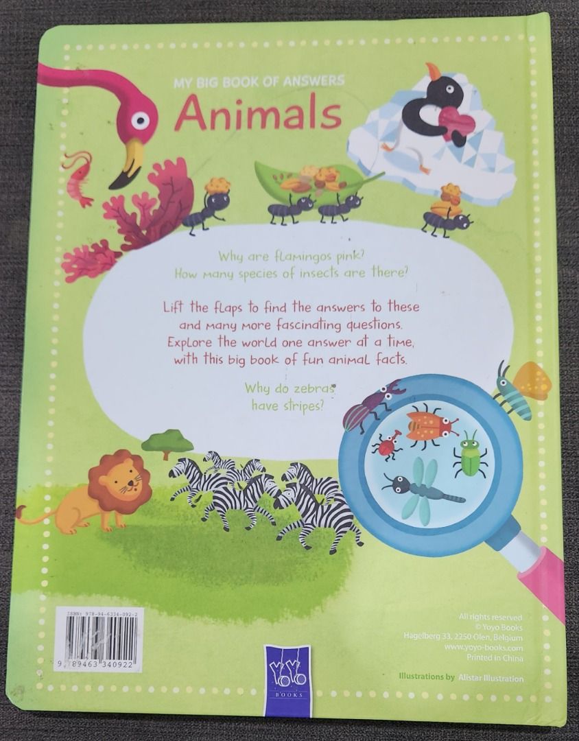 My Big Book of Answers - Animals, and the World Flap Board Books Set ...