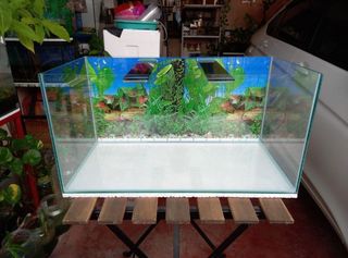 (Category: ) located in . Submitted by waebetta85 (Listing ID 1261128477, Image 1). Description: .